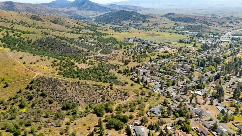 Picture 20