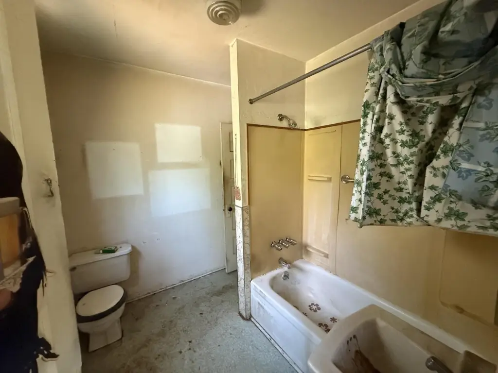 Picture 17