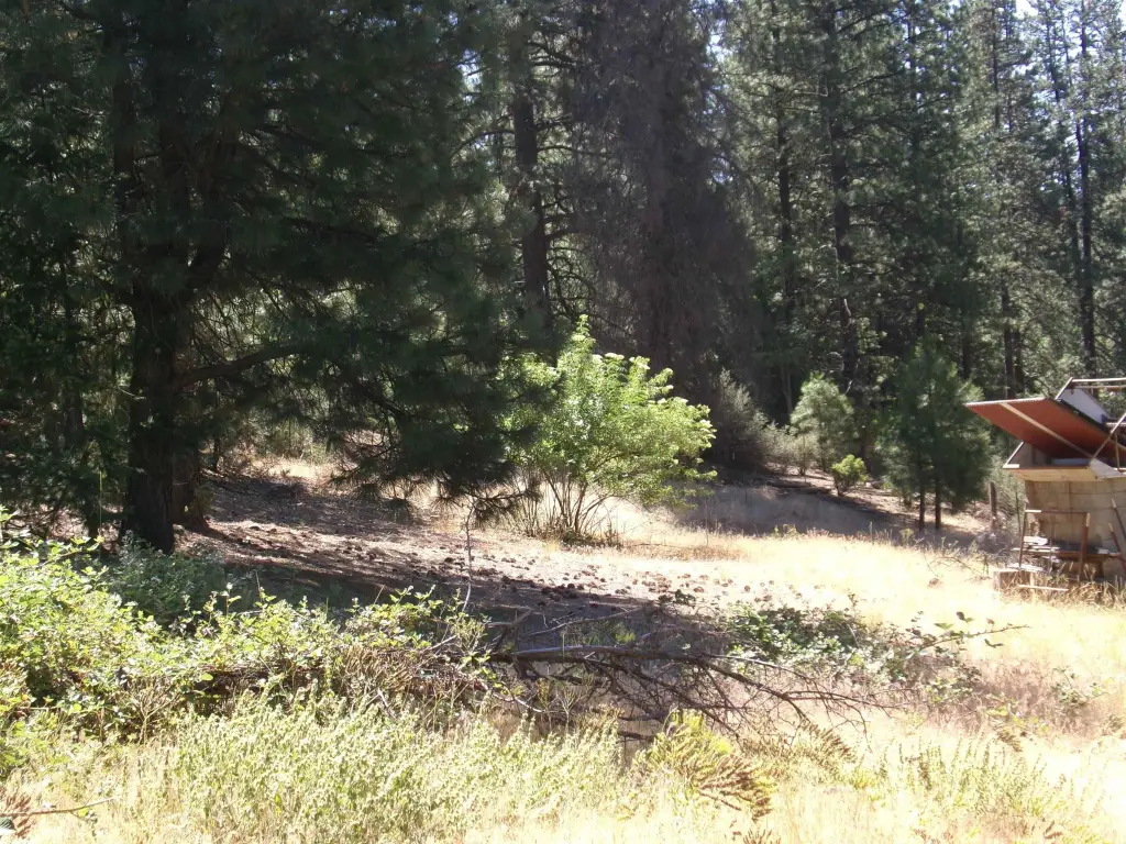 Picture 22