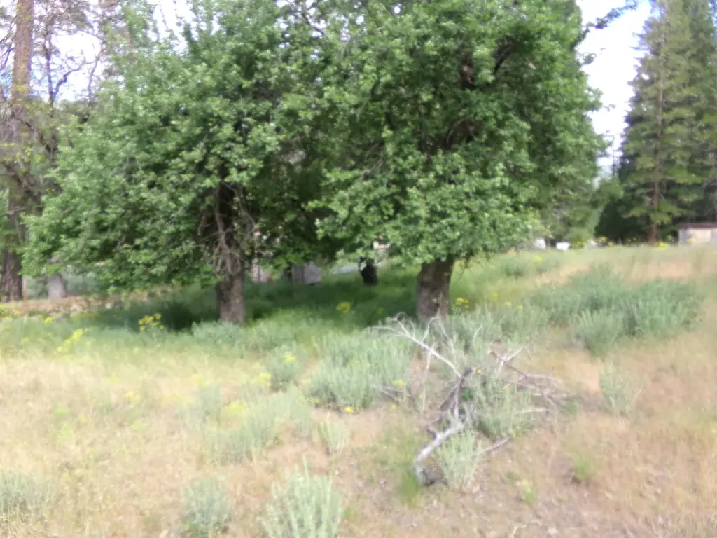 Picture 7