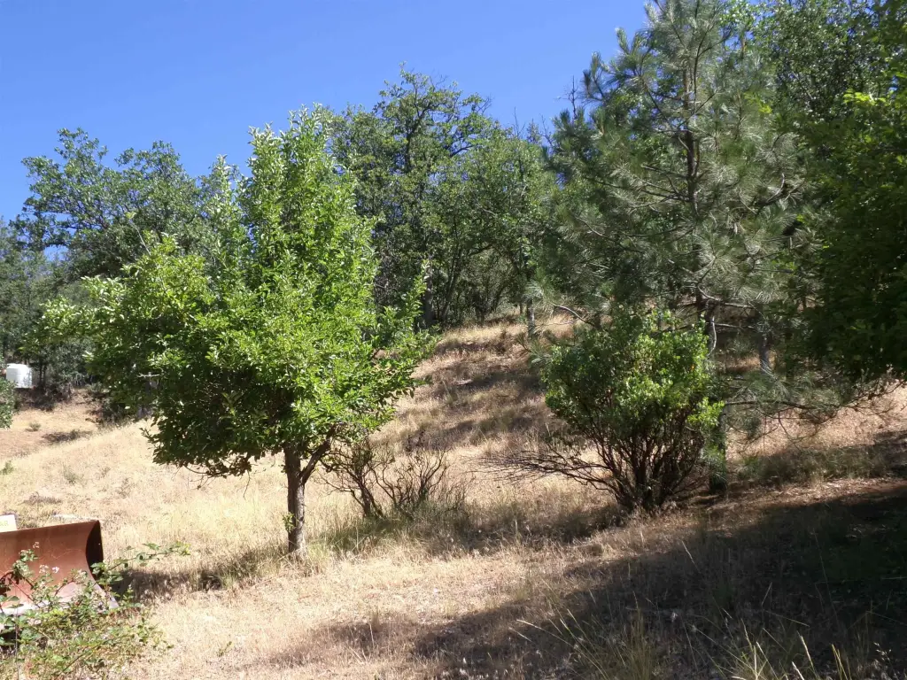 Picture 21