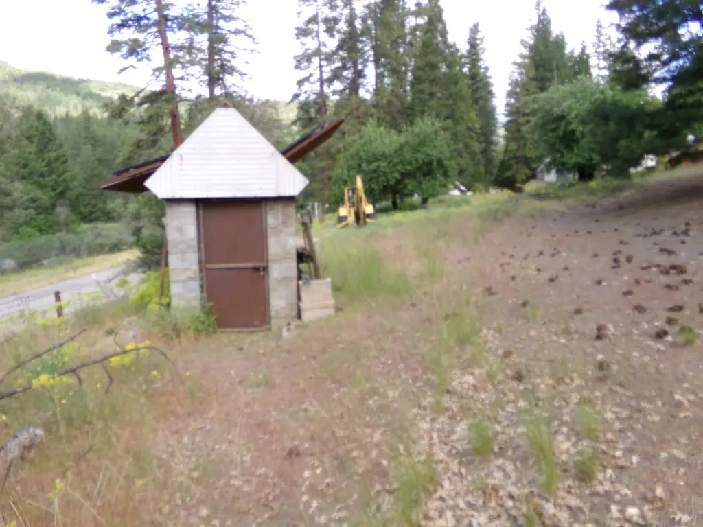 Picture 5