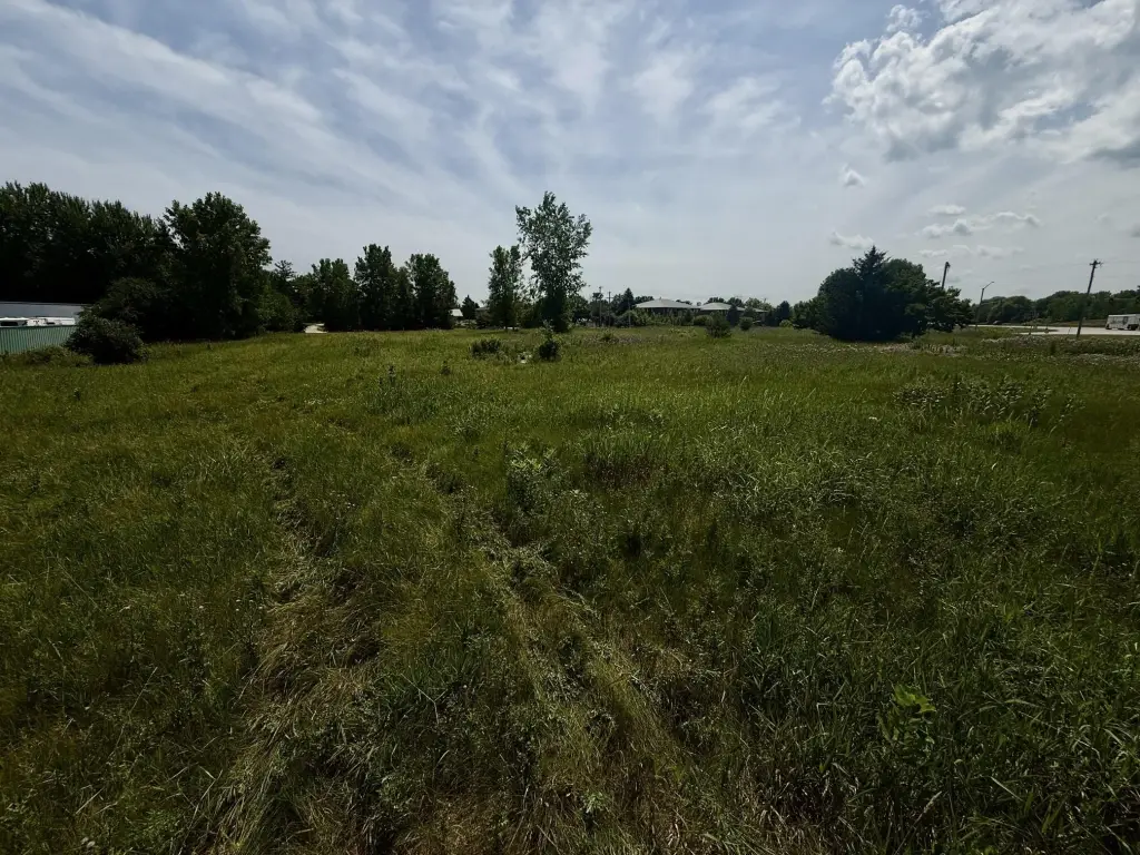 Picture 16