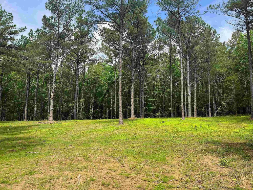 Picture 8