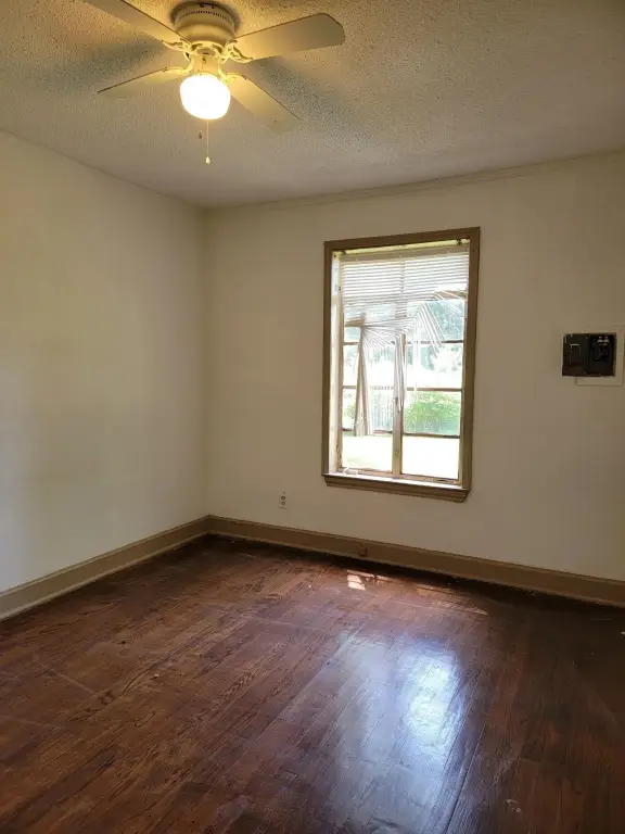 Picture 19