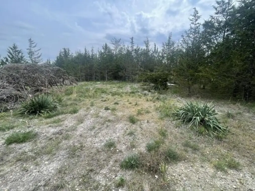 Picture 5
