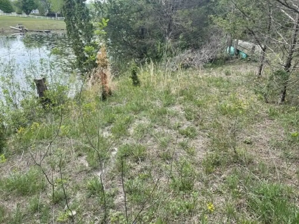 Picture 3