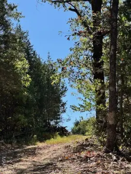 Residential Land in Quiet Cul-de-Sac