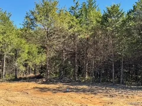 Residential Lot in Quiet Cul-de-Sac