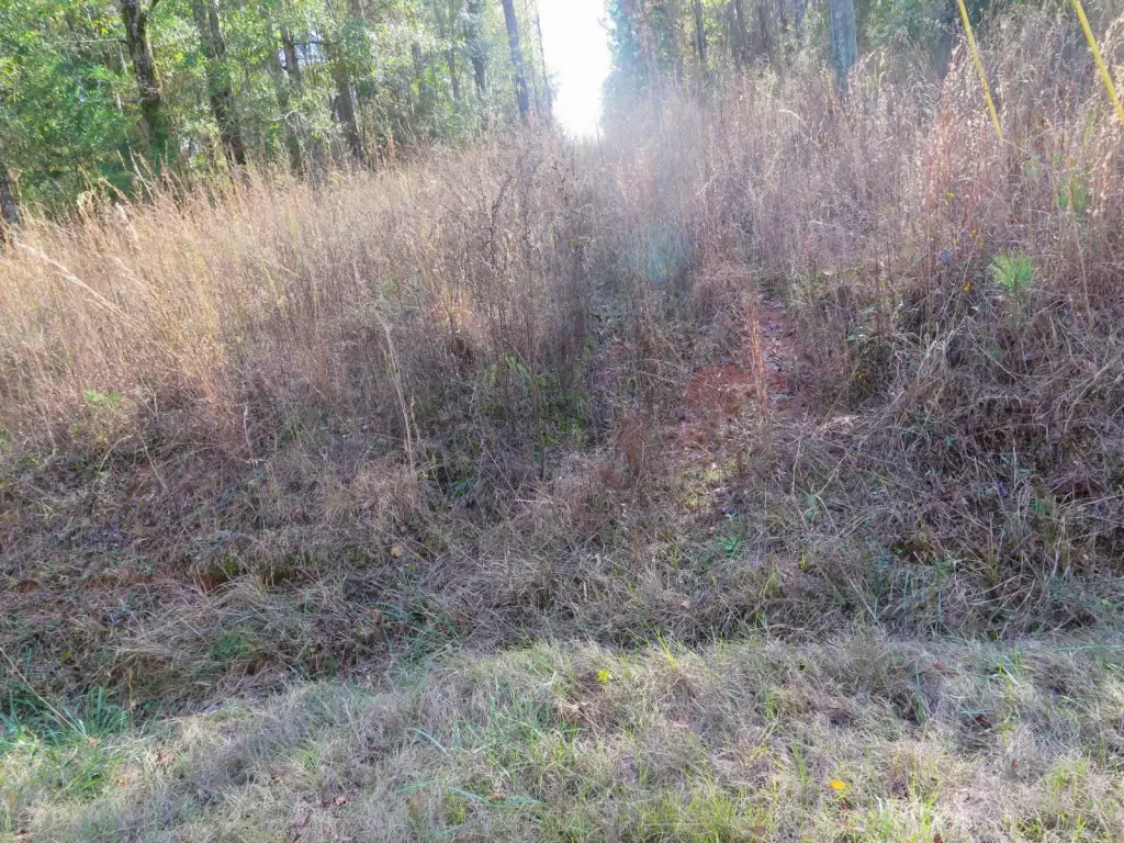 Picture 12