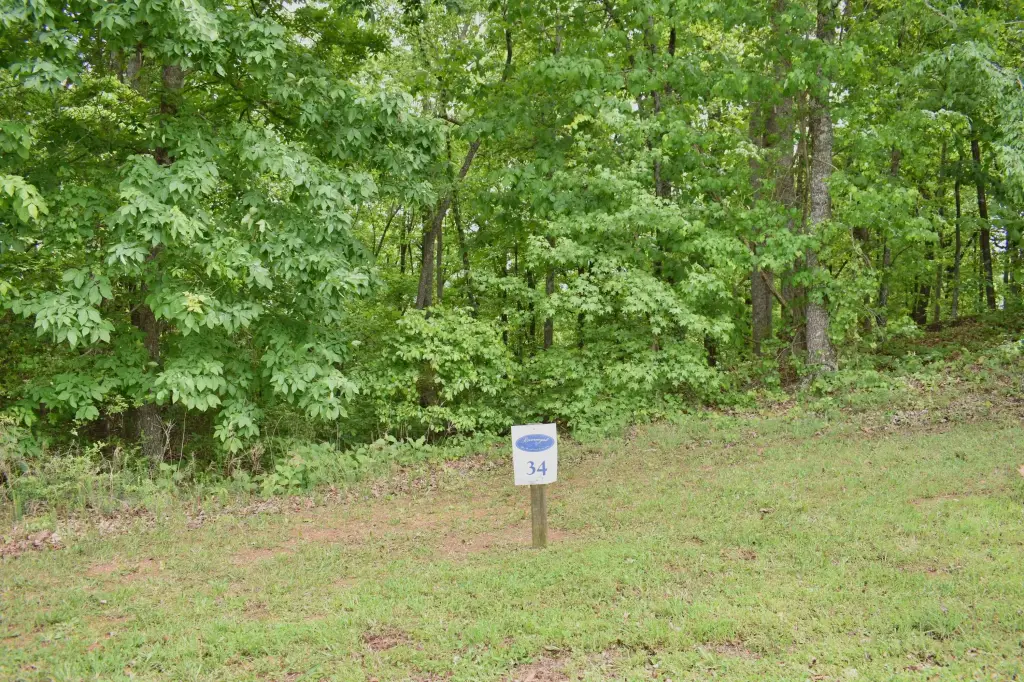 Picture 18