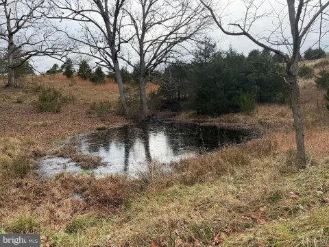 20 Acres of Prime Land