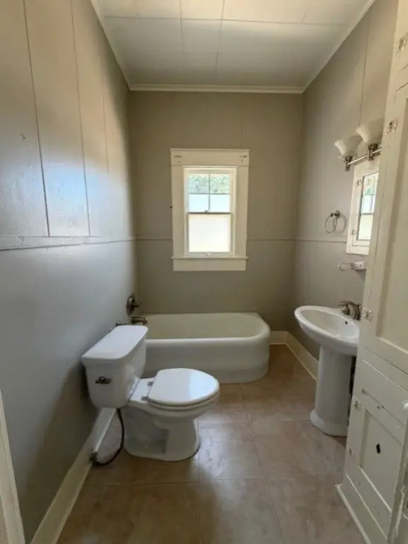 Picture 11