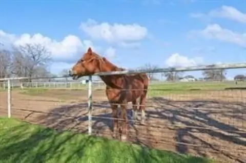 Aubrey Estate with Equestrian Facilities