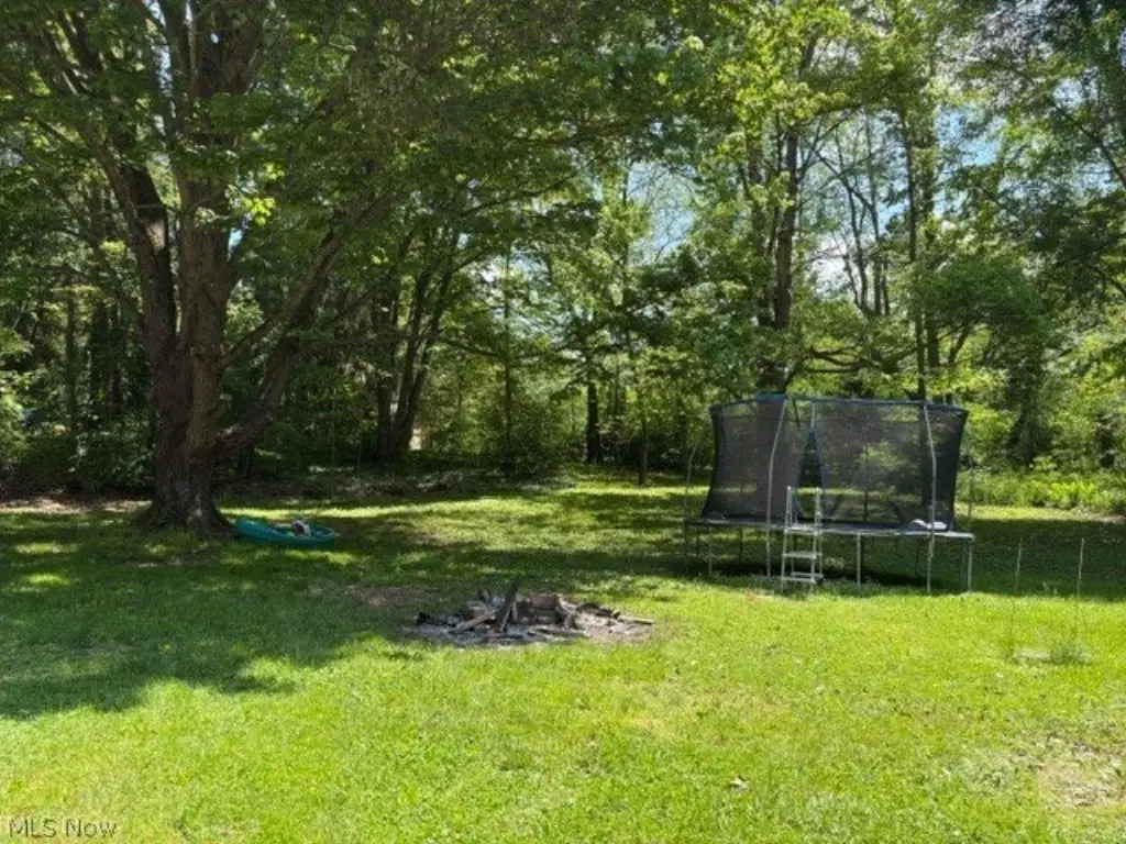 Picture 19