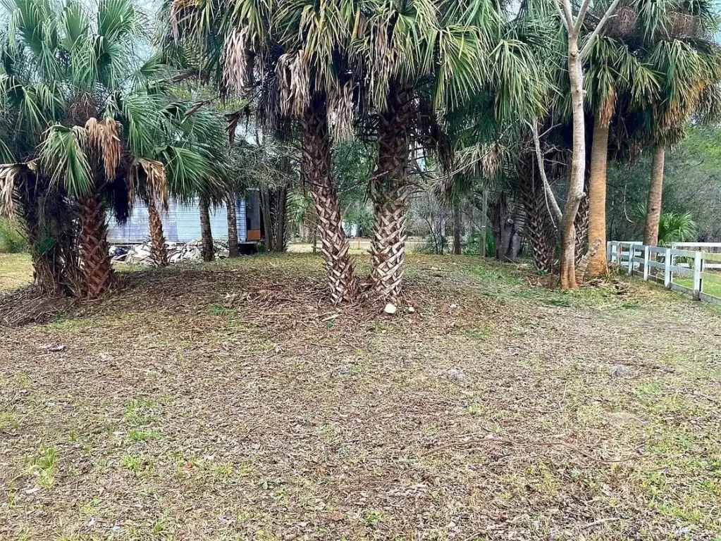 Picture 5