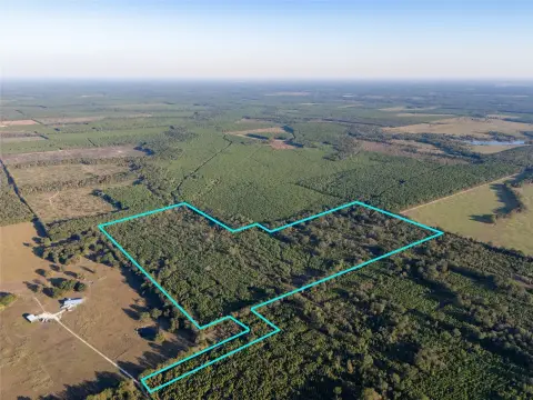 Timbered Recreational Land