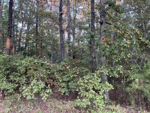 Pine Bluff Land for Development