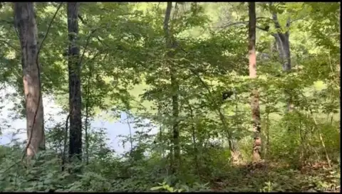 Centreville Land with River Frontage