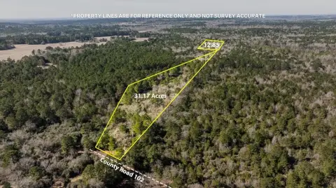 Secluded Wooded Acreage in Elkhart, TX
