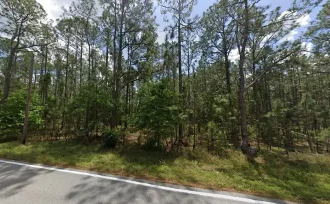 Spacious Buildable Land in Polk