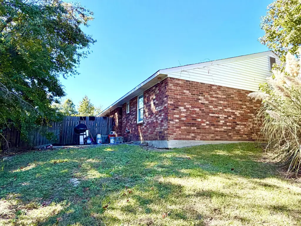 Picture 5