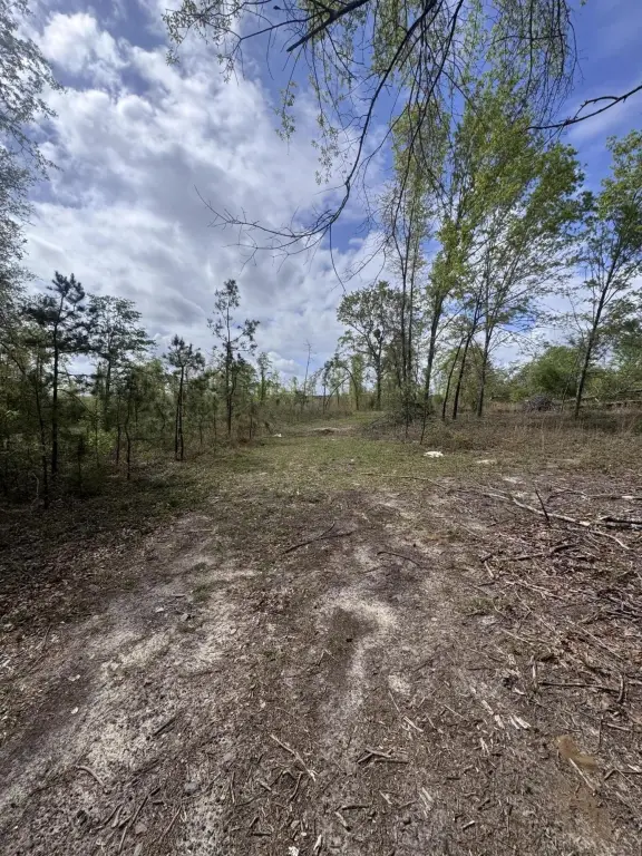 Picture 5
