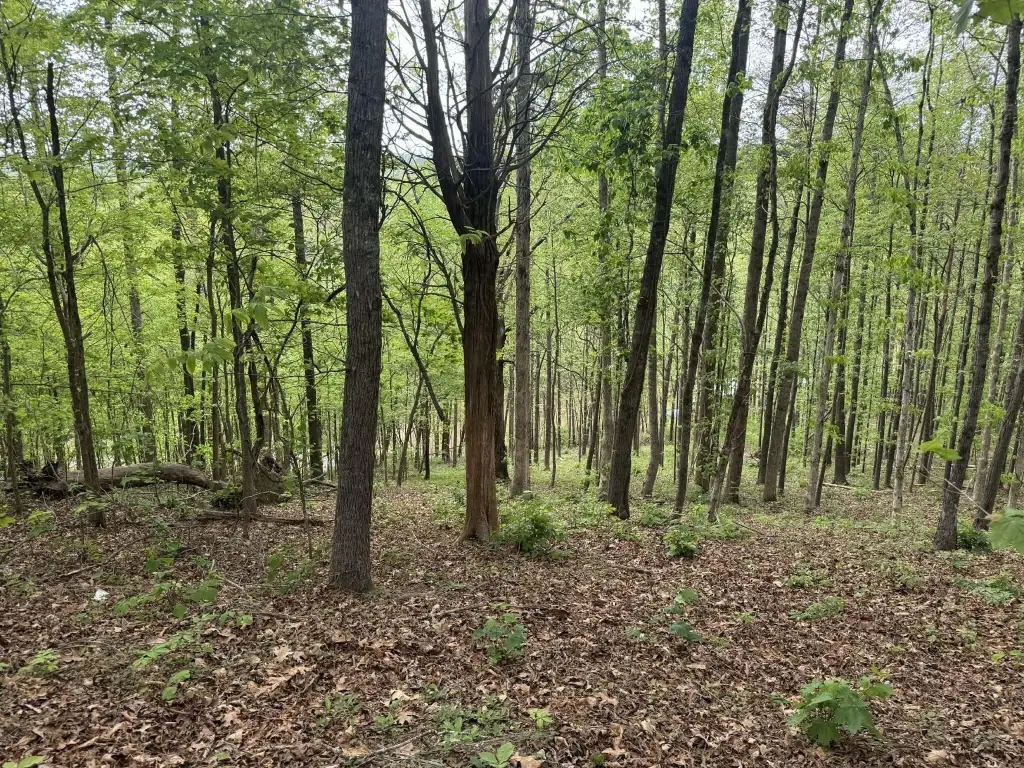 Picture 6