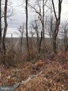 Wooded Land in Ritters Hidden Valley