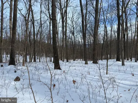 Land in Delray, West Virginia