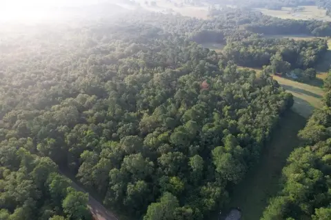 Recreational Land Near Angelina River
