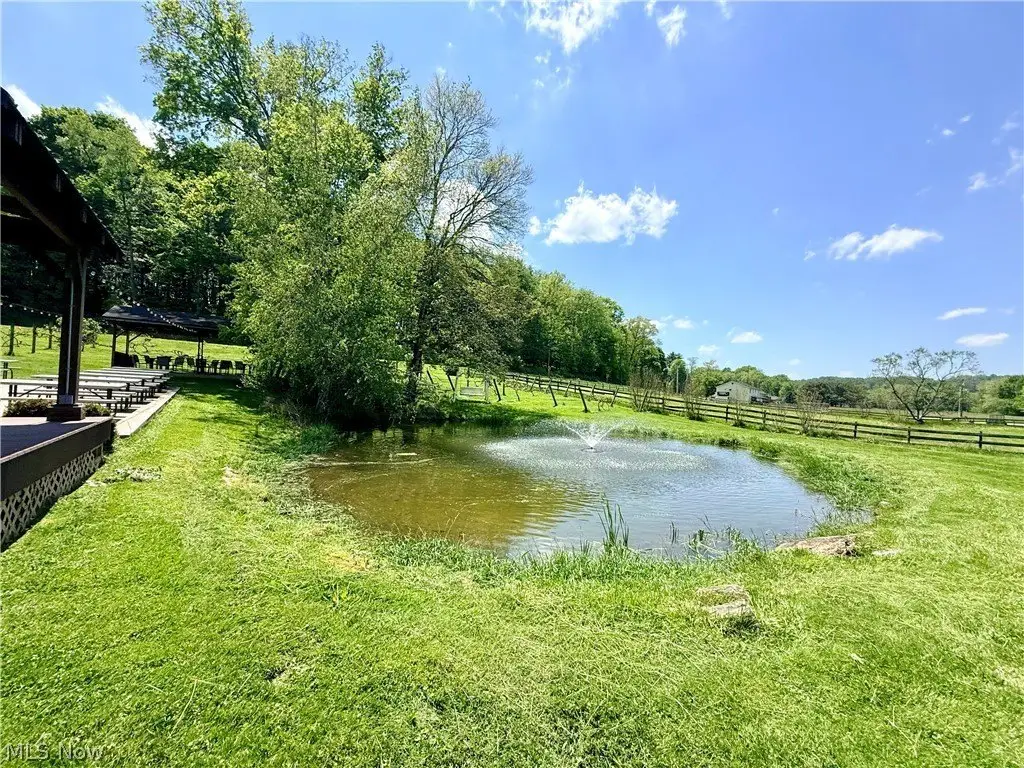 Picture 10