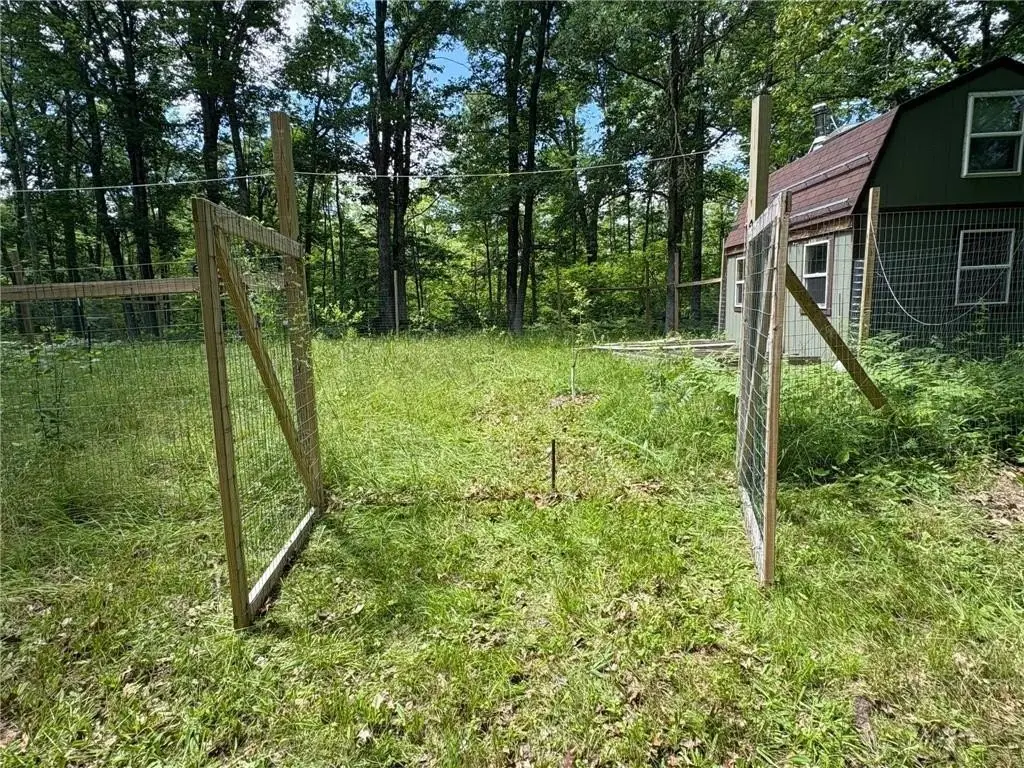 Picture 5