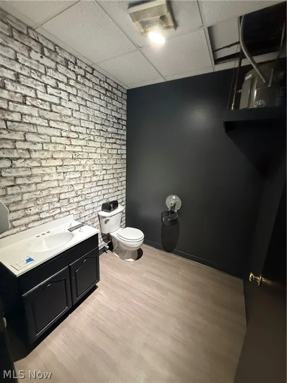 Picture 5
