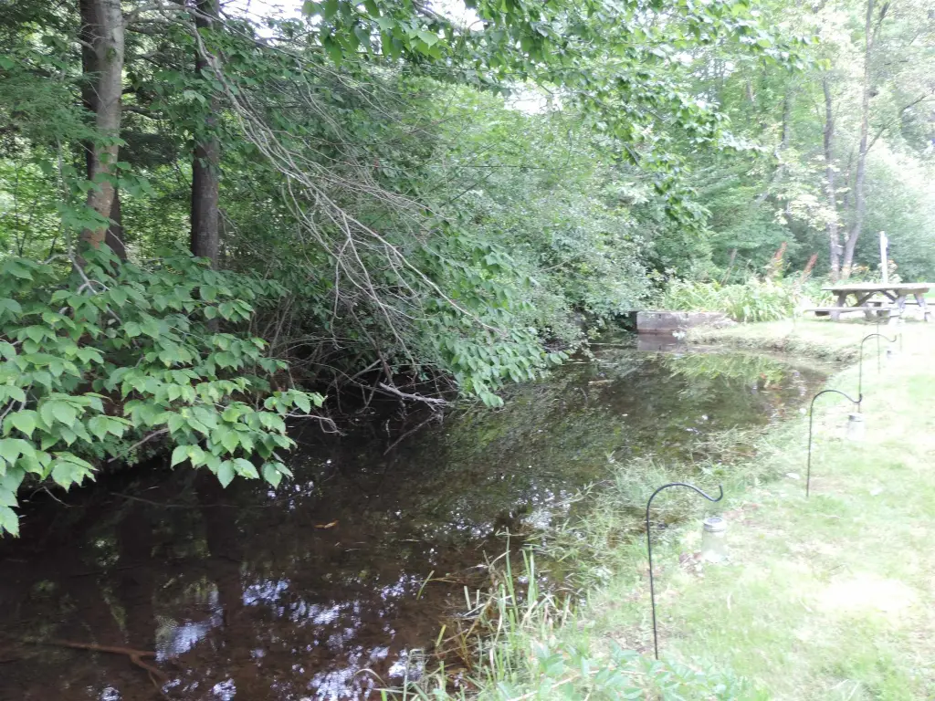 Picture 40