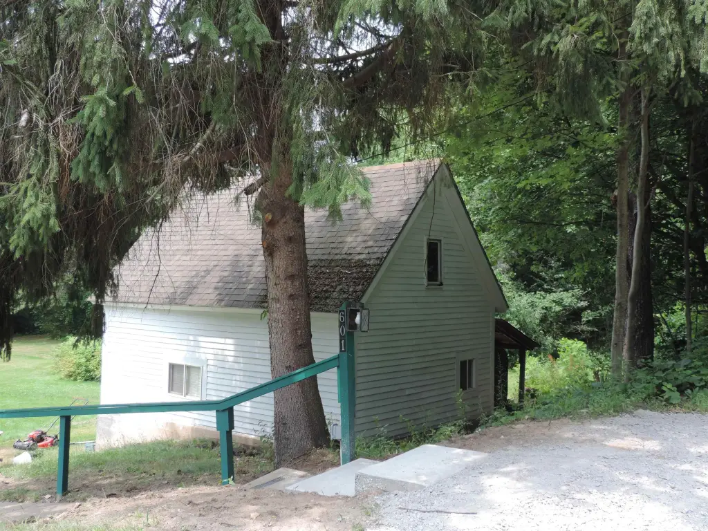 Picture 5