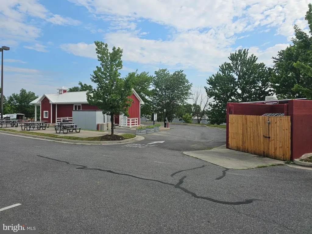 Picture 7