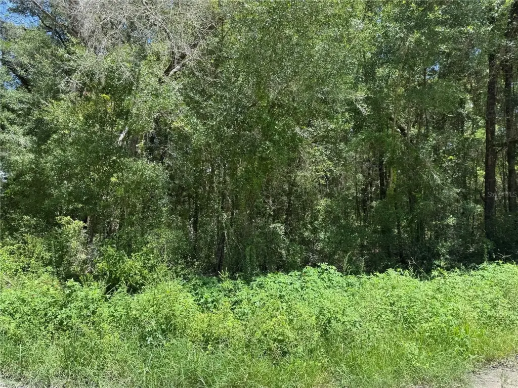 Picture 4