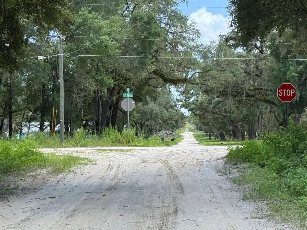 Picture 8
