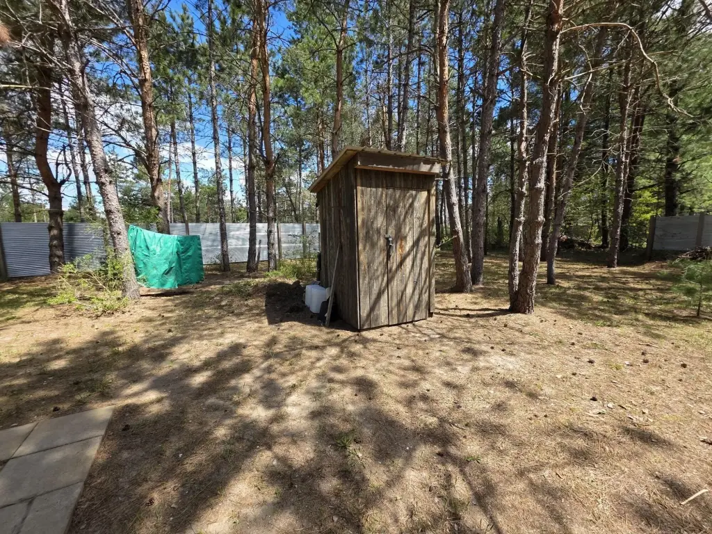 Picture 14
