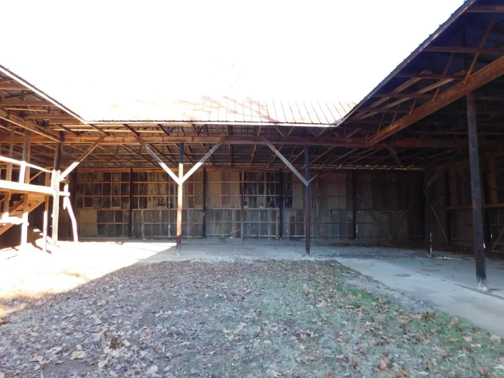 Picture 10