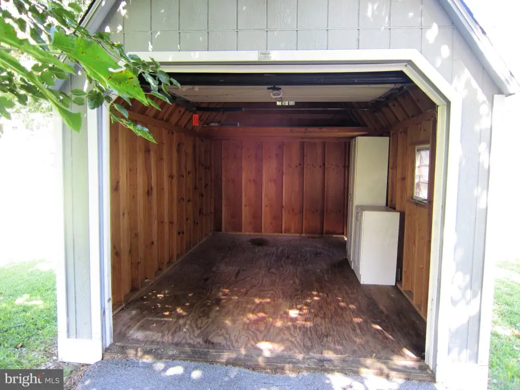 Picture 19