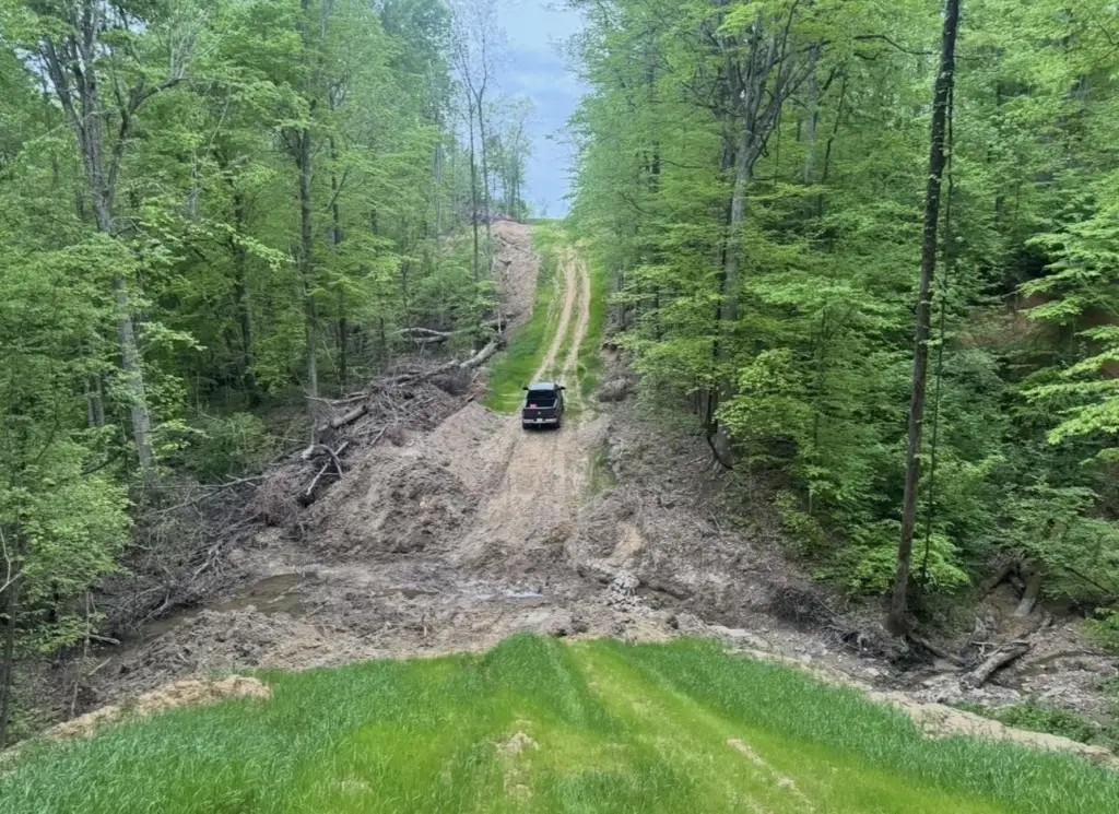 Picture 6