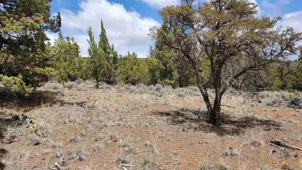 Picture 21