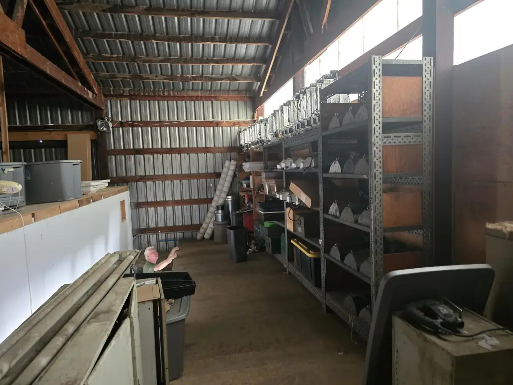 Picture 16