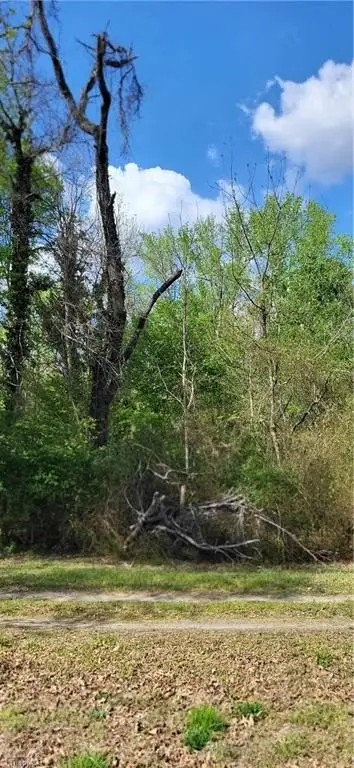 Picture 30