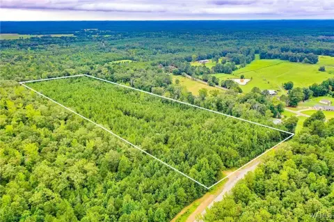 Land Parcel in Ralph, AL