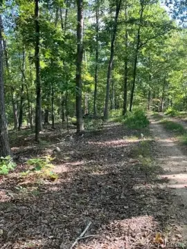 Fredericktown Land with Forest Access