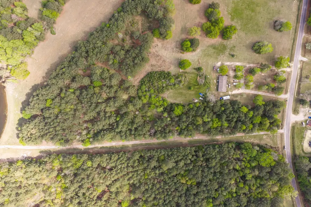 Picture 10