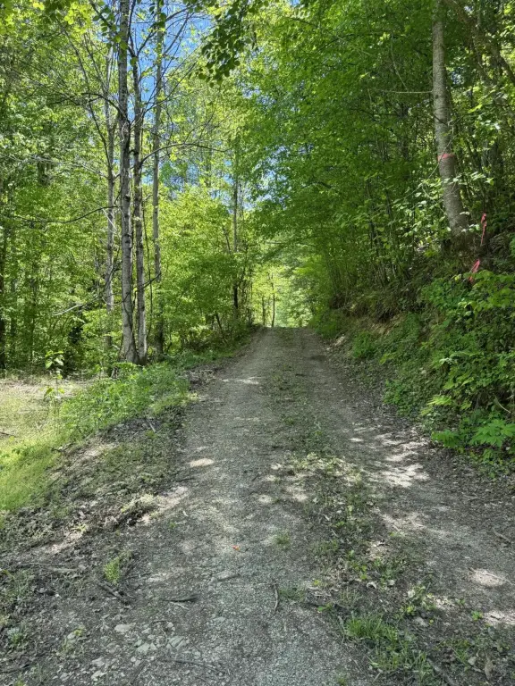 Picture 7